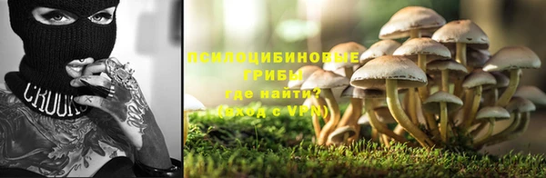 СК Зеленодольск