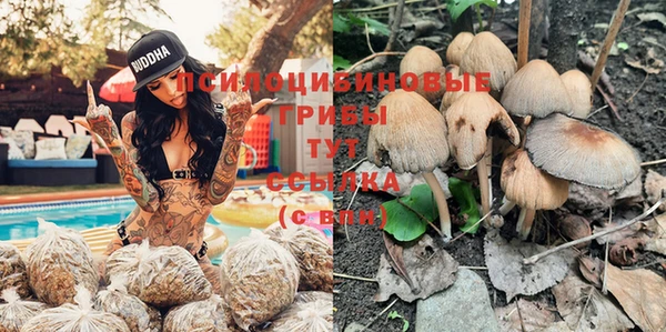 гидра Алексеевка