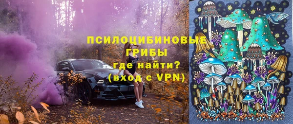 гидра Алексеевка