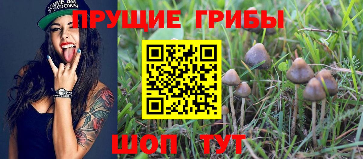 Галлюциногенные грибы ЛСД Воткинск