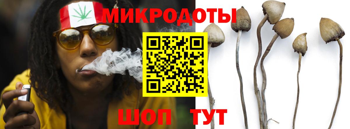 Воткинск  Псилоцибиновые грибы MAGIC MUSHROOMS  Вход с VPN 